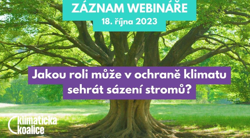 20. října bude “Den stromů”, v ochraně klimatu mohou hrát roli jen za velmi konkrétních podmínek, upozornila Klimatická koalice včera na webináři